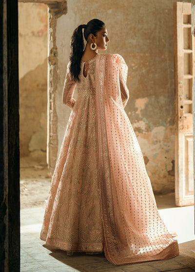 Sahane The Wedding Chapter Unstitched Organza 3 Piece Suit CT 36002 Florisse - Formals Collection