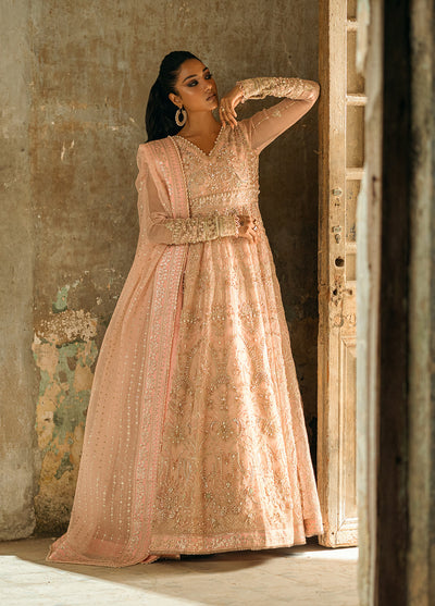 Sahane The Wedding Chapter Unstitched Organza 3 Piece Suit CT 36002 Florisse - Formals Collection