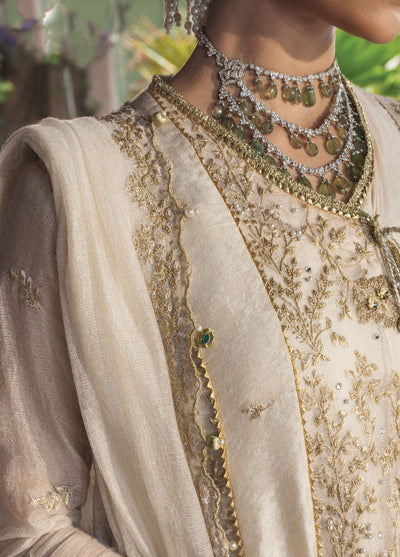 Rang Rasiya Embroidered Cotton Net Suits Unstitched 3 Piece RR25WF D-07 Neha - Wedding Collections