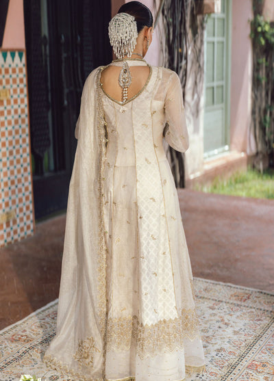 Rang Rasiya Embroidered Cotton Net Suits Unstitched 3 Piece RR25WF D-07 Neha - Wedding Collections