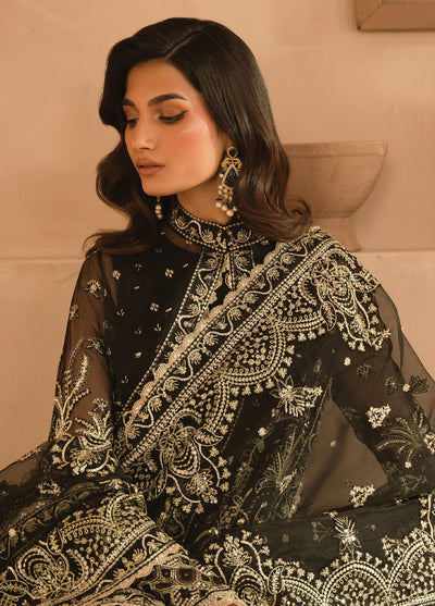 Panache by Ayzel Unstitched Formals Collection 2024 D-06 Orina