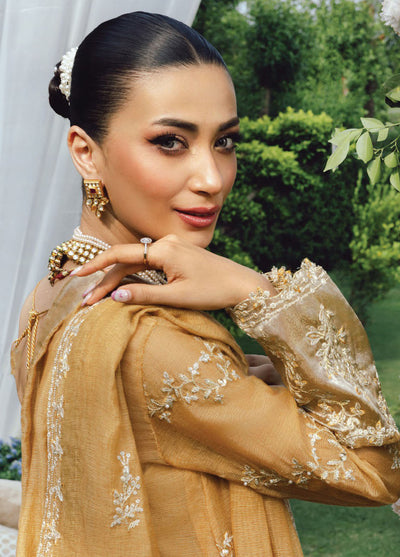 Rang Rasiya Embroidered Cotton Net Suits Unstitched 3 Piece RR25WF D-09 Misha - Wedding Collections