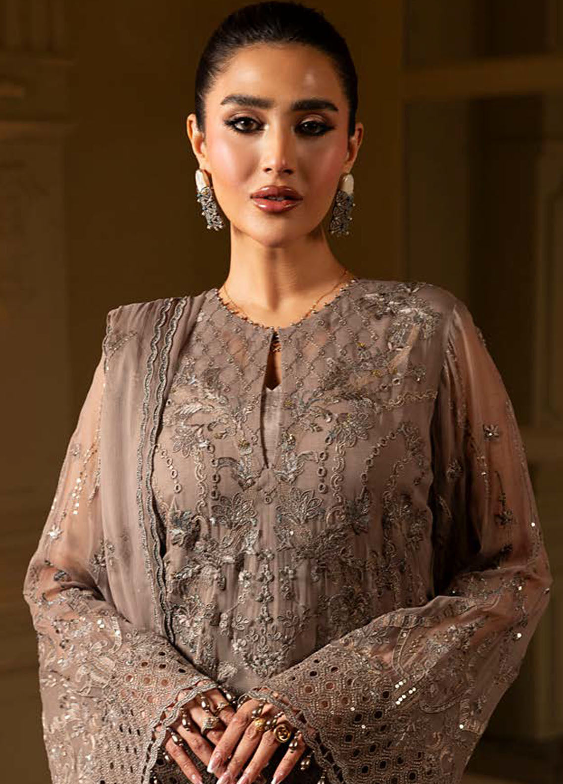 Aashnai by Lavish Embroidered Chiffon Suits Unstitched 3 Piece LVP24AC D-10 Rustic Grace