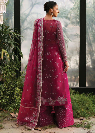 Afrozeh Embroidered Chiffon Suits Unstitched 3 Piece AF25LF D-03 Rowan
