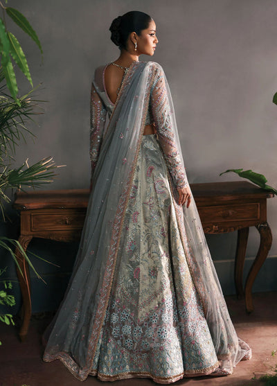 Afrozeh Embroidered Chiffon Suits Unstitched 3 Piece AF25LF D-08 Elanora