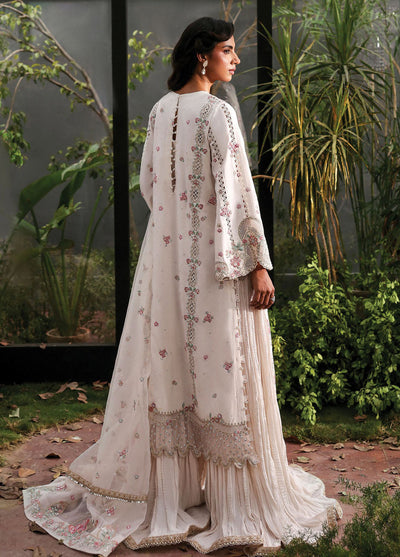 Afrozeh Embroidered Chiffon Suits Unstitched 3 Piece AF25LF D-05 Rue
