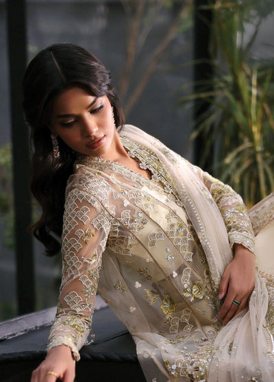 Afrozeh Embroidered Chiffon Suits Unstitched 3 Piece AF25LF D-10 Fleuriе