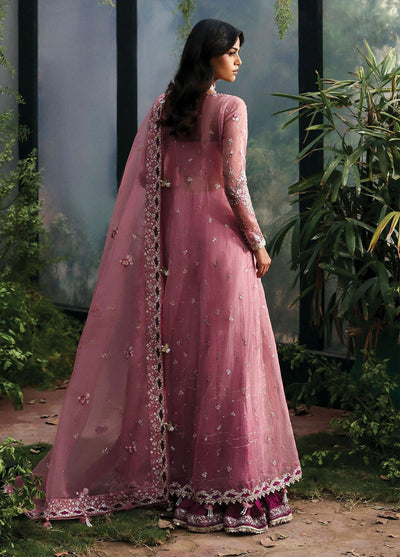 Afrozeh Embroidered Chiffon Suits Unstitched 3 Piece AF25LF D-01 Seraira