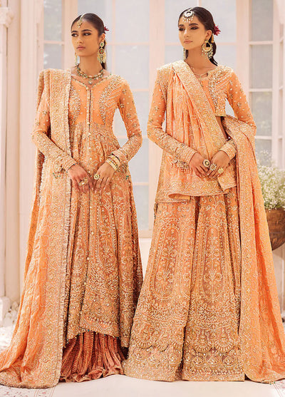 AIK Atelier Wedding Festive Collection 2024 Vol-2 Look 06