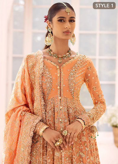 AIK Atelier Wedding Festive Collection 2024 Vol-2 Look 06