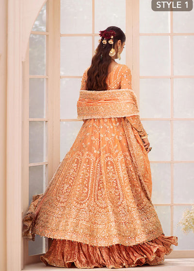 AIK Atelier Wedding Festive Collection 2024 Vol-2 Look 06