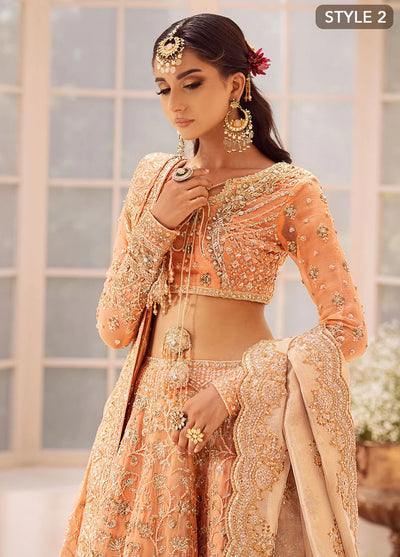 AIK Atelier Wedding Festive Collection 2024 Vol-2 Look 06