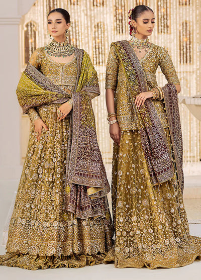 AIK Atelier Wedding Festive Collection 2024 Vol-2 Look 04