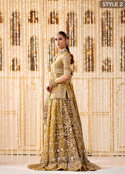 AIK Atelier Wedding Festive Collection 2024 Vol-2 Look 04