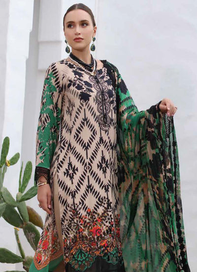 Aafreen by Riaz Arts Unstitched Winter Collection 2024 AF-127