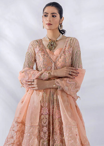 Afreen By Malook Unstitched Collection 2023 Daisy