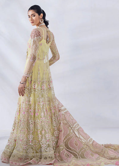 Afreen By Malook Unstitched Collection 2023 Diara