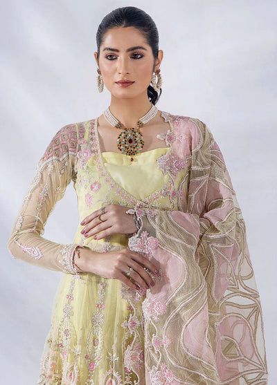 Afreen By Malook Unstitched Collection 2023 Diara