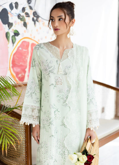 Afterhours by Mahnur Embroidered Lawn Suits Unstitched 3 Piece MN25AH D-4 Mint Mirage