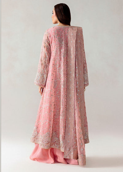 Aik Atelier Embroidered Chiffon Suits Unstitched 3 Piece AIK25UF D-02
