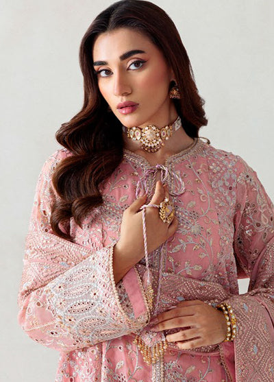 Aik Atelier Embroidered Chiffon Suits Unstitched 3 Piece AIK25UF D-02
