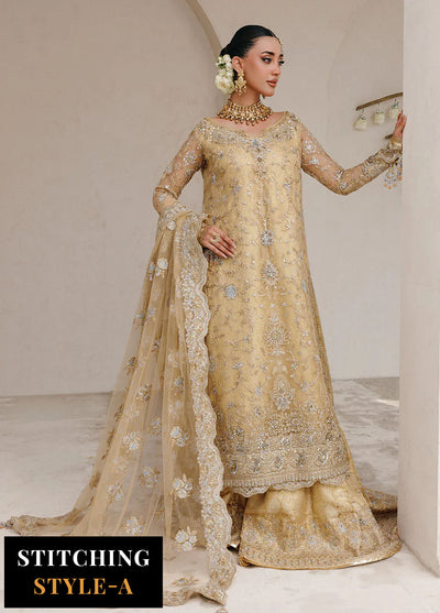 Aik Atelier Embroidered Net Suits Unstitched 3 Piece AIK25WU D-06