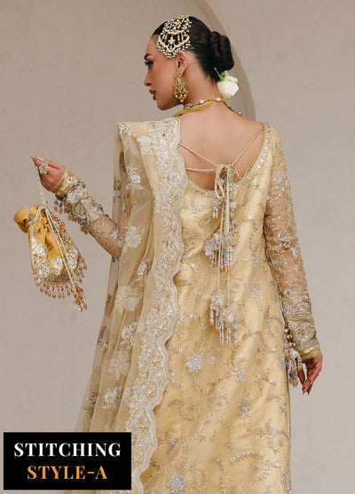 Aik Atelier Embroidered Net Suits Unstitched 3 Piece AIK25WU D-06