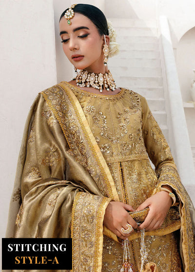 Aik Atelier Embroidered Zari Net Suits Unstitched 3 Piece AIK25WU D-10
