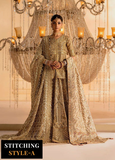 Aik Atelier Embroidered Net Suit Unstitched 3 Piece Look-05