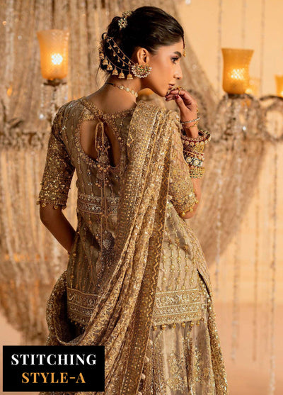 Aik Atelier Embroidered Net Suit Unstitched 3 Piece Look-05