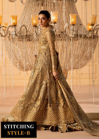 Aik Atelier Embroidered Net Suit Unstitched 3 Piece Look-05
