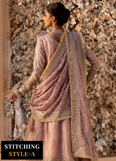 Aik Atelier Embroidered Net Suit Unstitched 3 Piece Look-07