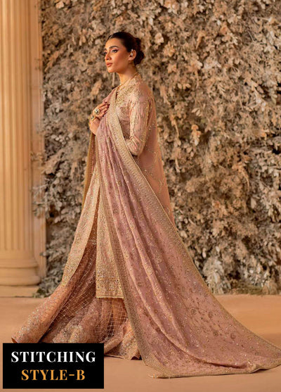 Aik Atelier Embroidered Net Suit Unstitched 3 Piece Look-07