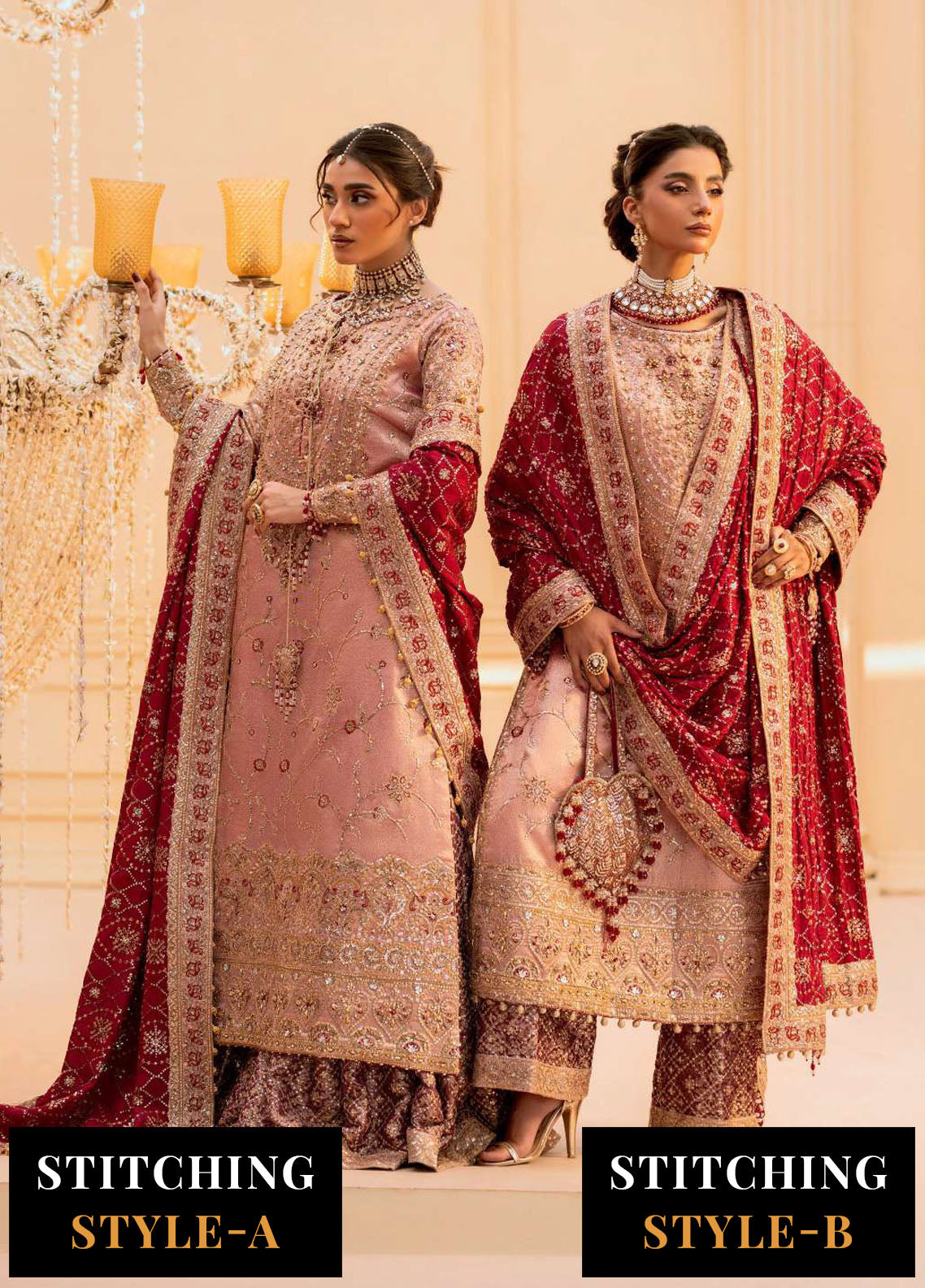 Aik Atelier Embroidered Tissue Suit Unstitched 3 Piece Look-03