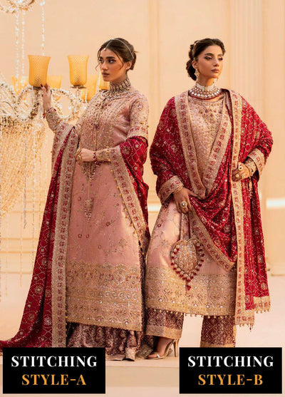Aik Atelier Embroidered Tissue Suit Unstitched 3 Piece Look-03
