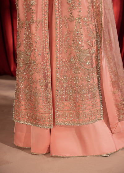 Anayra Amal Pret Embroidered Organza 3 Piece Suit Gulaab