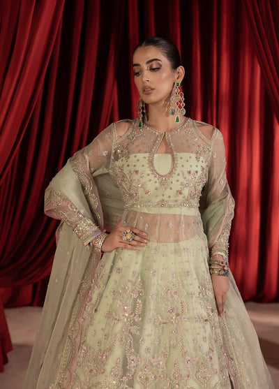 Anayra Amal Pret Embroidered Organza 3 Piece Suit Paalki