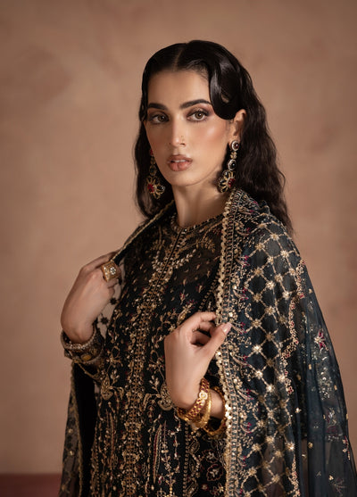 Anayra Amal Pret Embroidered Organza 3 Piece Suit Shehnai