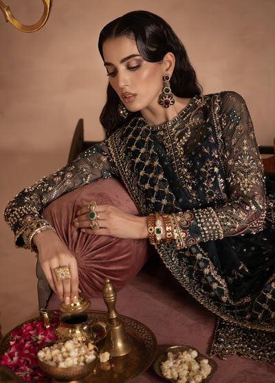 Anayra Amal Pret Embroidered Organza 3 Piece Suit Shehnai