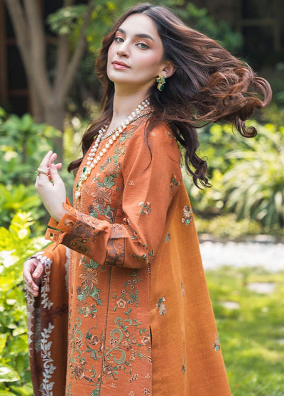 Asifa and Nabeel Luxury Winter Collection 2024 Vol-2 Caramel WL-01