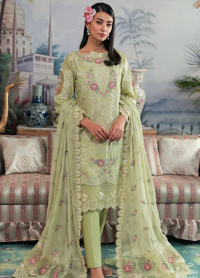 Ayra By Emaan Adeel Luxury Lawn Collection 2024 AR-02