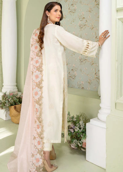 Baad e Baharan by Humdum Unstitched Lawn Collection 2024  D-01