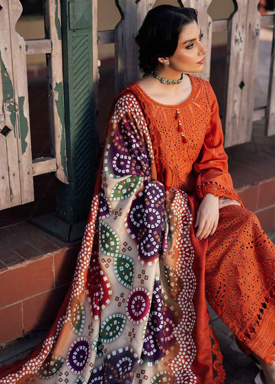 Bazaar By Nureh Chikankari Winter Collection 2024 NE-116