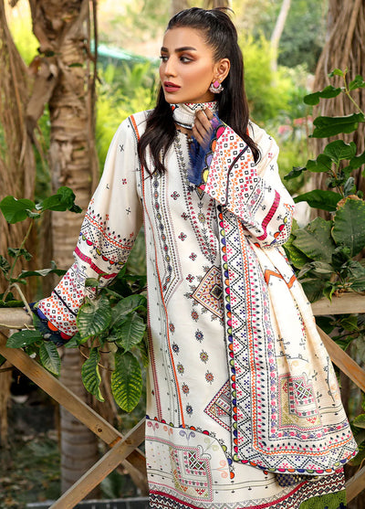 Maya Jahan by Bin Ilyas Winter Kotail Collection 2024 764 A