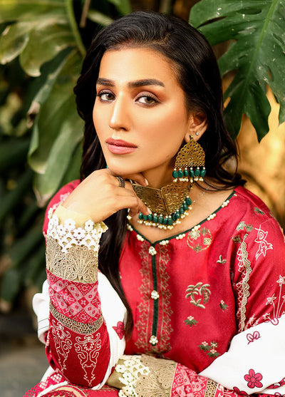 Maya Jahan by Bin Ilyas Winter Kotail Collection 2024 766 B