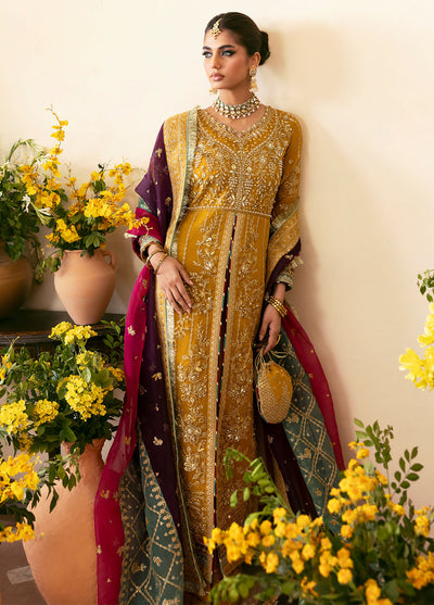 Chaandni by Gulaal Unstitched Wedding Formals Collection 2024 D-08 Nayaara