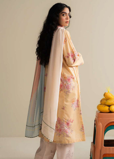 Coco Prints by Zara Shahjahan Printed Lawn Suits Unstitched 3 Piece CZS25PS D-01 B Ovela