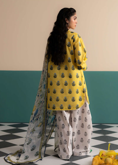 Coco Prints by Zara Shahjahan Printed Lawn Suits Unstitched 3 Piece CZS25PS D-04 A Zofi