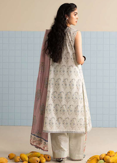Coco Prints by Zara Shahjahan Printed Lawn Suits Unstitched 3 Piece CZS25PS D-03 B Tinsa