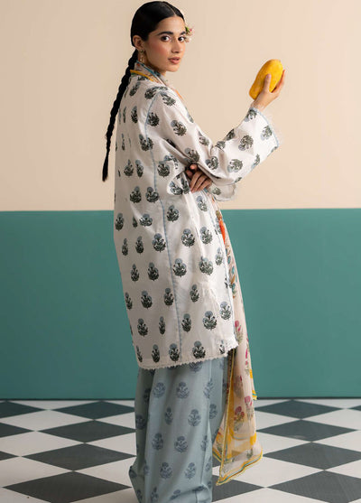 Coco Prints by Zara Shahjahan Printed Lawn Suits Unstitched 3 Piece CZS25PS D-04 B Zofi